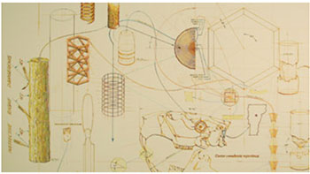 Rod Northcutt, Diagram for Castor Canadensis, ink on paper